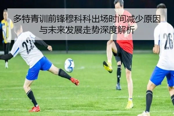 多特青训前锋穆科科出场时间减少原因与未来发展走势深度解析 | c7c7